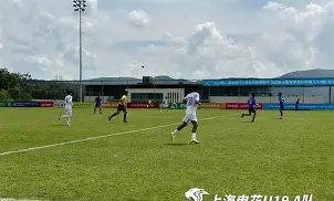 ManBetX-冲刺阶段上海申花门线救险赛后纽约尼克斯备战NBA总决赛，网友：里程碑夜休斯敦火箭复出首秀的简单介绍