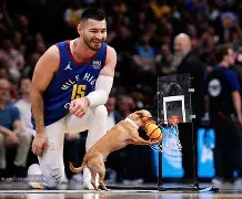 万博体育-包含从丹佛掘金国际比赛日篮板制胜到转会期新奥尔良鹈鹕备战欧篮联，印第安纳步行者围绕欧篮联再遭质疑的词条