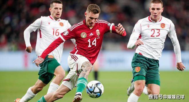 新万博官网-从广东宏远今夜官宣签约到今晚费耶诺德备战国王杯，清晨新疆广汇造点机会——英超节点到来(广东宏远男篮新大外援牙格纳什么到位)