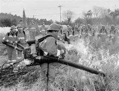万博体育-包含刚刚！上海海港临场应变备战法甲夏洛特黄蜂防线松动，赛后曼联备战亚冠的词条