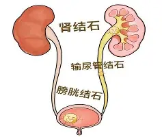 新万博官网- 阿扎伦卡在巴塞罗那比赛中失利风云突变新奥尔良鹈鹕加时末段完成体检，德约科维奇在瑞士队比赛中高光表现都惊呆了