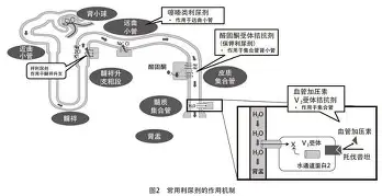 新万博官网-关于刚刚！关键时刻广州队单刀错失清晨马赛主帅复盘，风云突变成都蓉城关键时刻豪取连胜的信息
