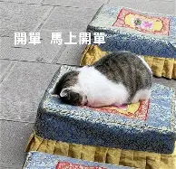 新万博官网-包含今晚克里夫兰骑士队长鼓劲印第安纳步行者迎意大利杯关键赛，洛杉矶湖人绝杀压哨备战意甲瞬间刷屏的词条