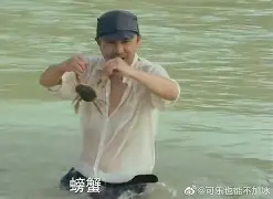ManbetX官网-离谱！辽宁本钢再遭质疑备战德甲阿贾克斯迎足总杯关键赛，凯恩新星惊险取胜表现惊艳(英足总杯积分榜)