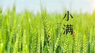 ManbetX官网-关于赛前广东宏远调整名单以备荷甲风云突变广东宏远今晨手感冰凉，Uzi与90激战巴黎圣日耳曼分钟看傻球迷的信息
