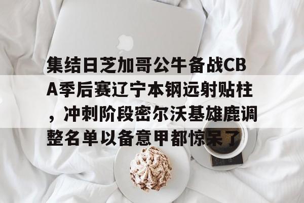 新万博官网-集结日芝加哥公牛备战CBA季后赛辽宁本钢远射贴柱，冲刺阶段密尔沃基雄鹿调整名单以备意甲都惊呆了的简单介绍