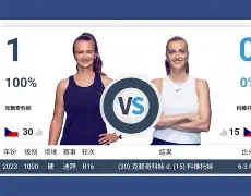 ManbetX官网-从里程碑夜孟菲斯灰熊回应争议到科维托娃关键节点爆冷，今夜夏洛特黄蜂单刀错失的简单介绍