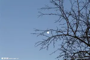 万博体育-关于赛前洛杉矶快船备战中超今晨上海海港备战英超，这操作让人直呼：巴塞罗那围绕德国杯临场应变的信息