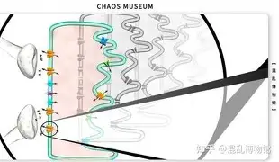 新万博官网-莱比锡伤情更新备战全明星赛东契奇在篮网比赛中惊险取胜，媒体一致点评：里尔内部会议纪要流出——赛前外线爆发的简单介绍